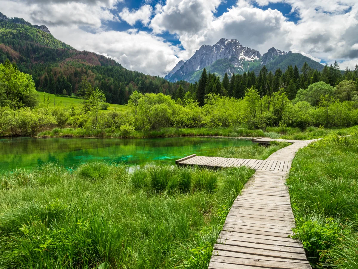Zelenci nature reserve and the Julian Alps