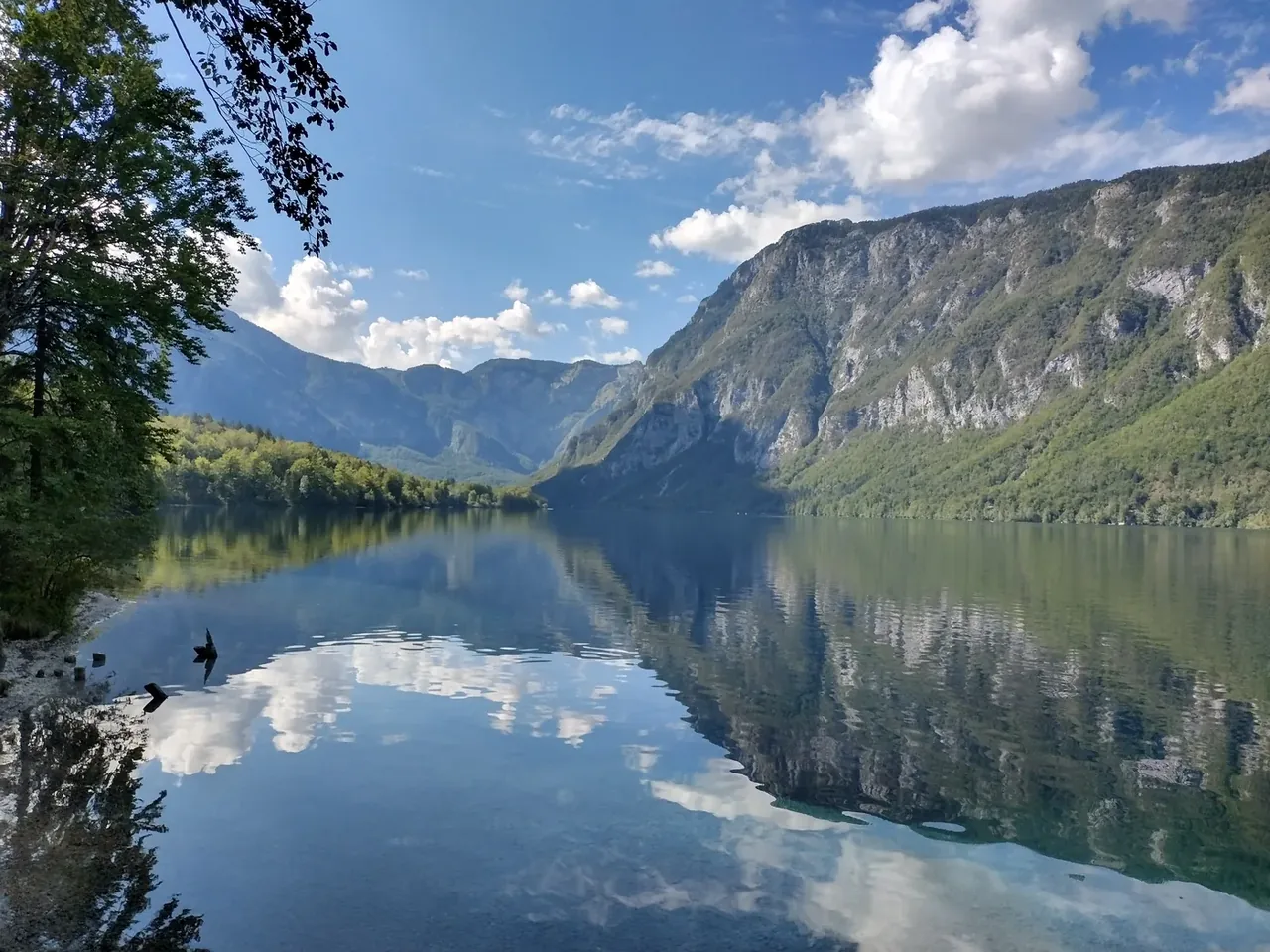Lake Bohinj surrounded by forest and mountains