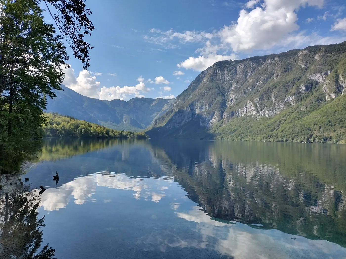 Lake Bohinj surrounded by the Julian Alps in Slovenia