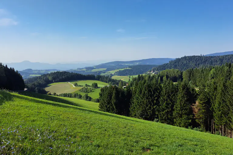 Green Pohorje landscape near Maribor